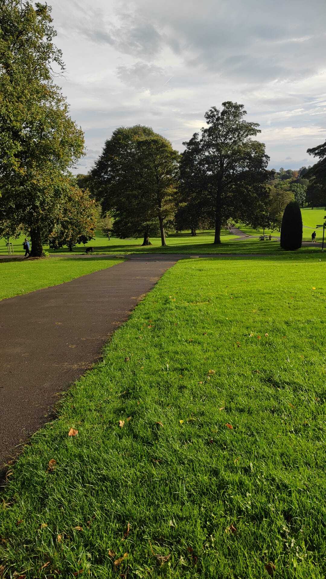 Exciting opportunity.  Park Enhancement Coordinator
