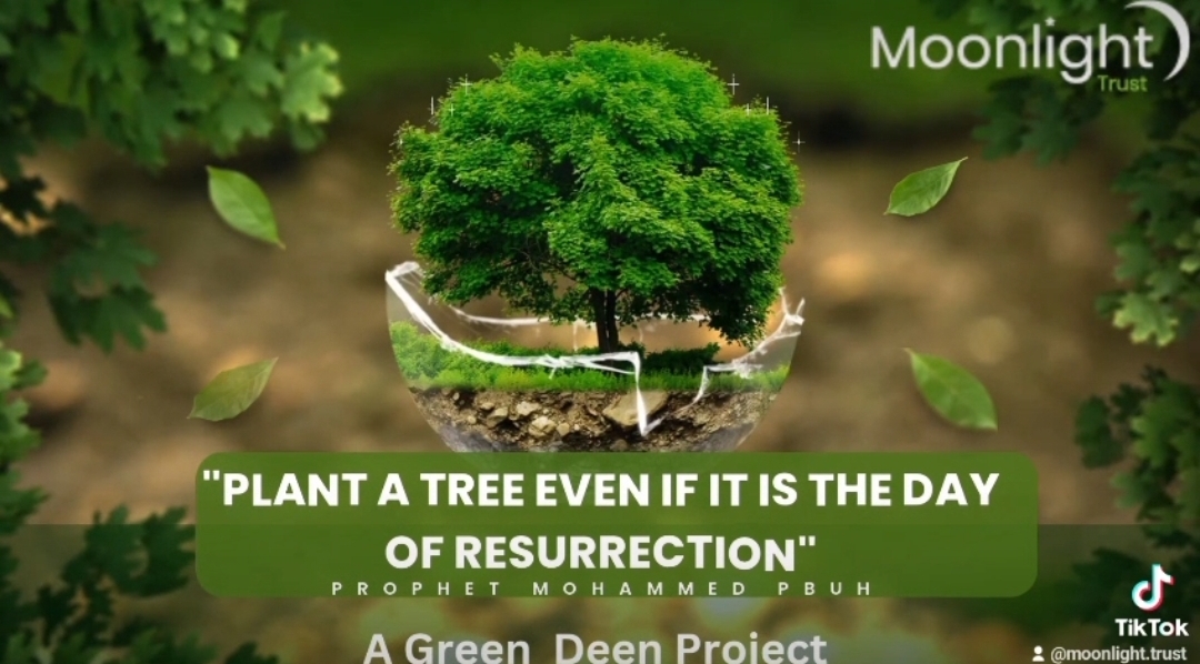 Plant a tree; your gift in Ramadan will feed more than you imagined